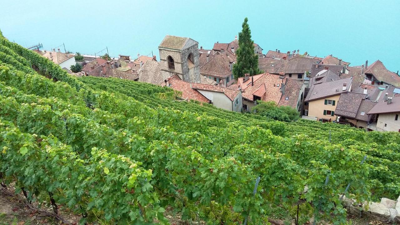 Maison De Charme A Mouzillon - Jardin Et Terrasse Accueillante Dış mekan fotoğraf